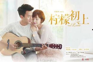 柠檬初上,探寻清新生活新风尚